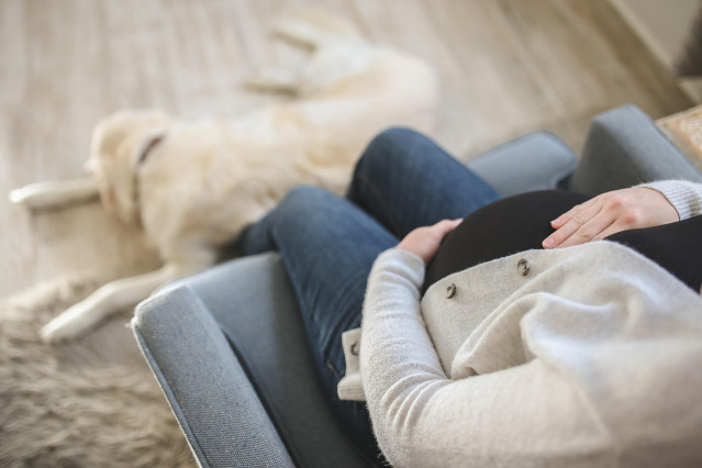 Overnight pet sitting Johannesburg - 24/7 care for anxious pets